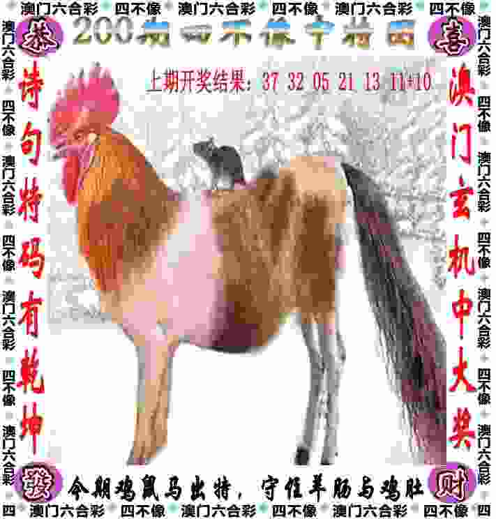 77777888888免费管家官方下载国际版下载 -777888管家婆凤姐官方最新版app下载v3   .62   .617   -2278安卓网